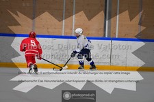 ref. photo 3543993