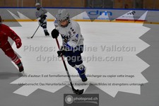 ref. photo 3543999