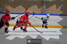 ref. photo 3544000