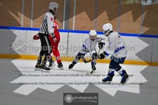 ref. photo 3544002