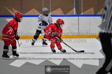 ref. photo 3544007