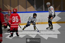 ref. photo 3544009