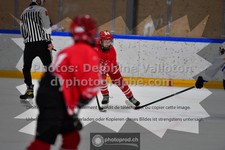 ref. photo 3544016