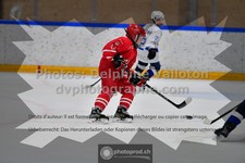 ref. photo 3544017