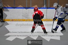 ref. photo 3544023