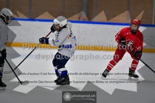 ref. photo 3544028