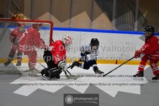 ref. photo 3544031