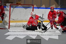 ref. photo 3544032