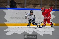 ref. photo 3544034