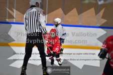 ref. photo 3544039