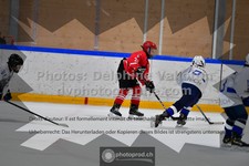 ref. photo 3544041