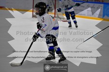 ref. photo 3544043