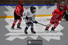 ref. photo 3544047
