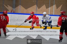 ref. photo 3544051