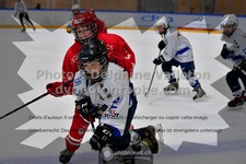 ref. photo 3544059