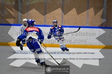ref. photo 3544092