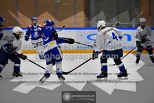ref. photo 3544114