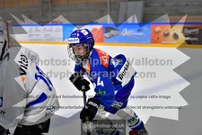 ref. photo 3544141