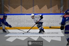 ref. photo 3544158