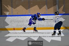 ref. photo 3544162