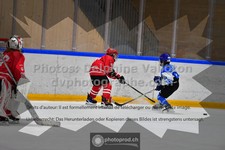 ref. photo 3544206
