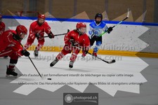 ref. photo 3544207