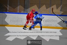 ref. photo 3544213