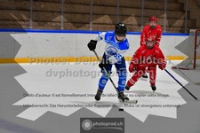 ref. photo 3544220