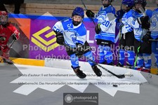 ref. photo 3544225