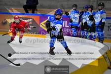 ref. photo 3544226