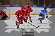 ref. photo 3544230
