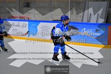 ref. photo 3544232