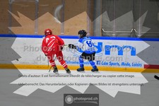 ref. photo 3544233