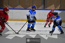 ref. photo 3544235