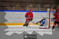 ref. photo 3544241