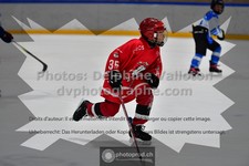 ref. photo 3544245