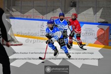ref. photo 3544247