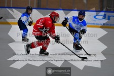 ref. photo 3544251