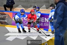 ref. photo 3544252