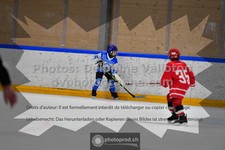 ref. photo 3544261