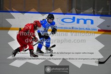 ref. photo 3544271