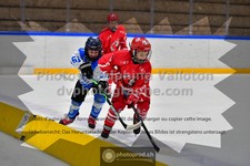 ref. photo 3544274
