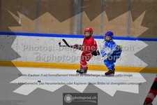 ref. photo 3544282