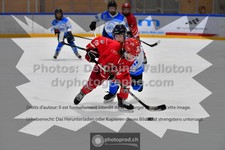 ref. photo 3544288