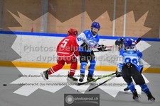 ref. photo 3544300