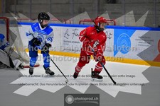 ref. photo 3544310