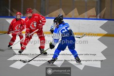 ref. photo 3544312