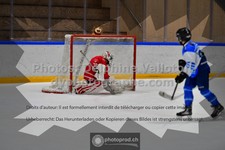 ref. photo 3544313