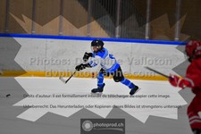 ref. photo 3544337