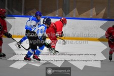 ref. photo 3544342
